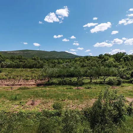 Ribnica-krusevo With Sea View X * Anić